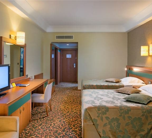 STANDARD ROOM LAND VIEW Camerele