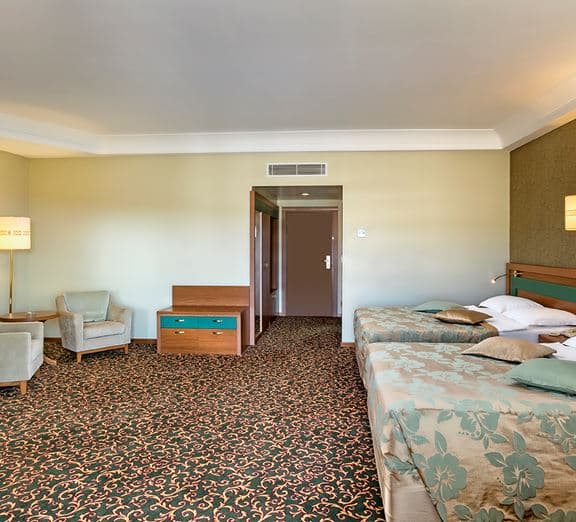 STANDARD LARGE ROOM SEA VIEW Camerele