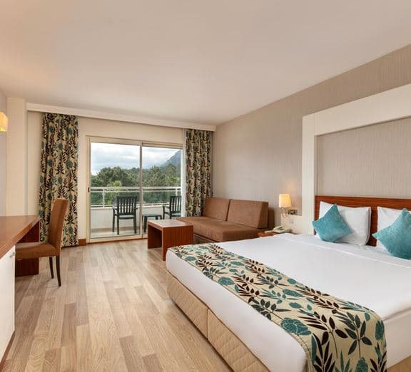 LARGE ROOM Camerele