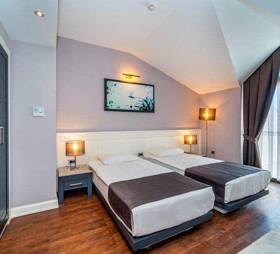 Attic Room Camerele