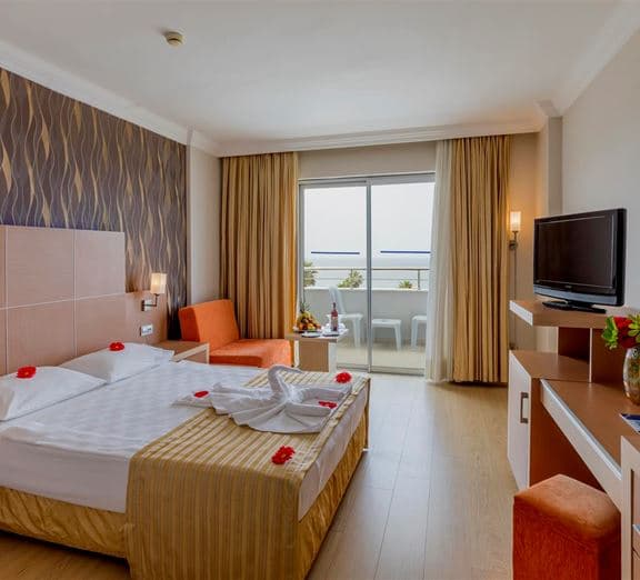 STANDARD LAND VİEW Camerele