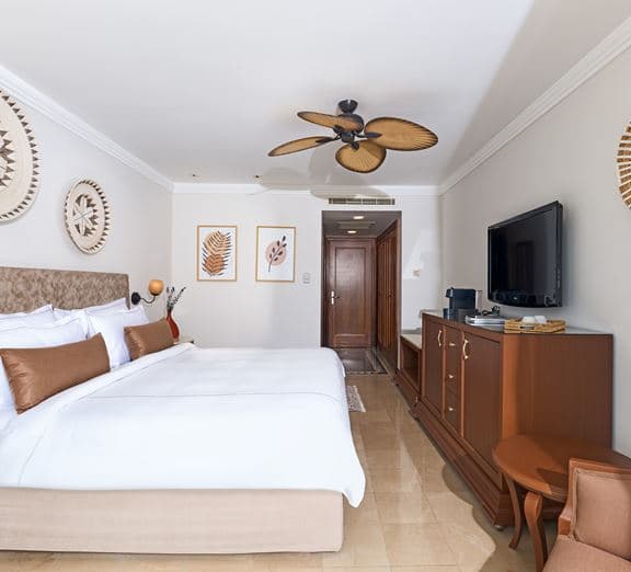 DELUXE ROOM GARDEN VIEW Camerele