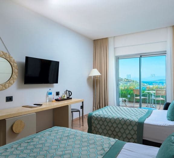 MAIN BUILDING DELUXE ROOM WOOD TERRACE Camerele