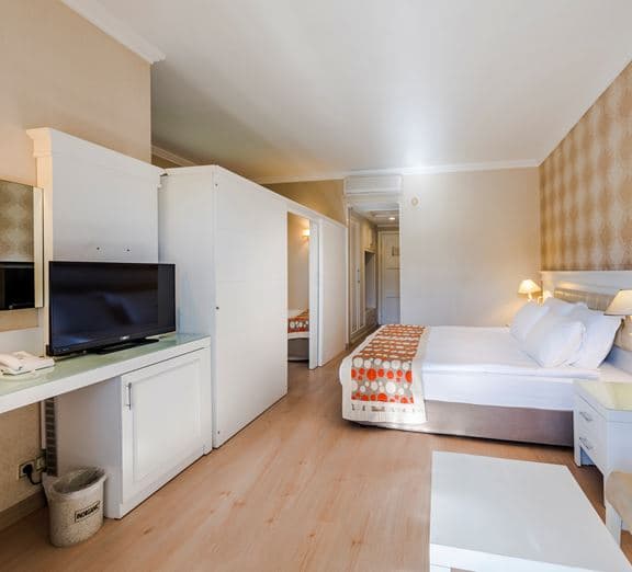 Large Room Camerele