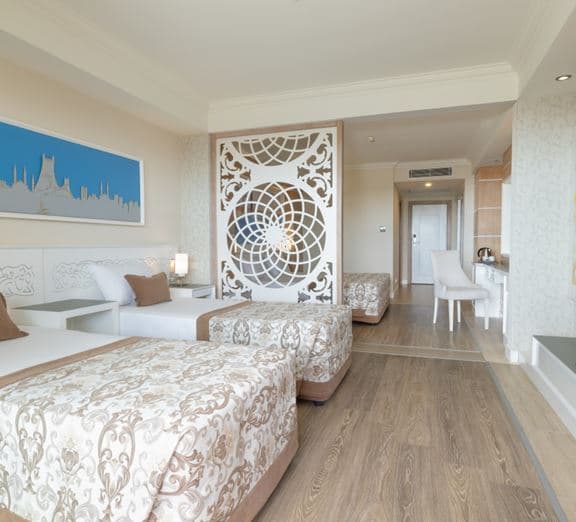 STANDARD LARGE ROOM Camerele