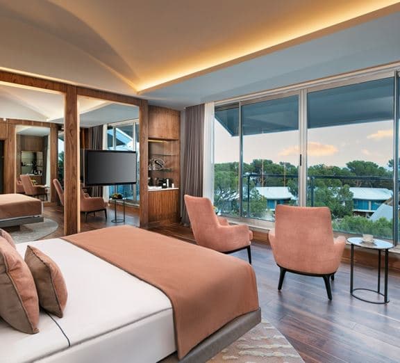 Executive Jaccuzi Room Camerele