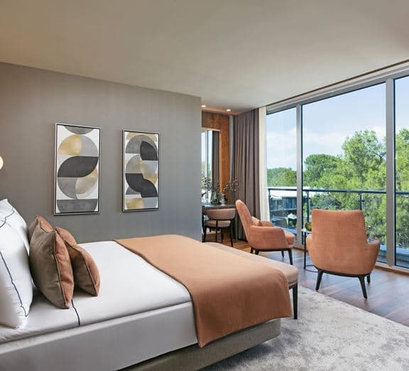 Executive Room Camerele