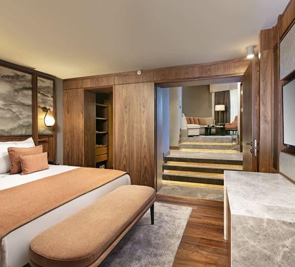 Executive Suite Camerele