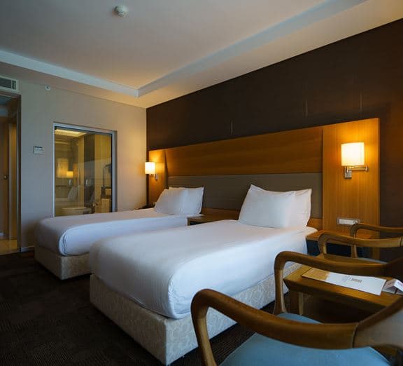 STANDARD LAND VIEW ROOM Camerele
