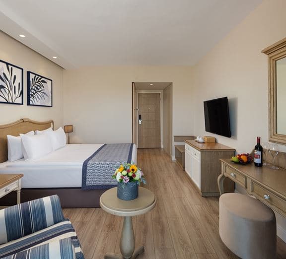 STANDARD ROOM Camerele