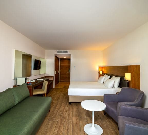 Standard Room Forest View Camerele