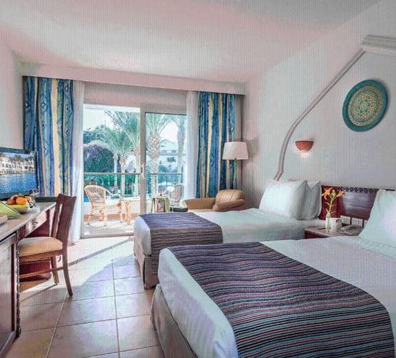 Executive Suite Camerele