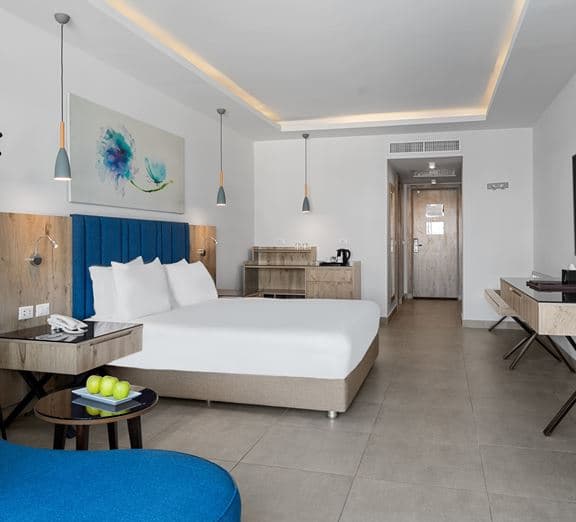 DELUXE ROOM POOL VIEW Camerele