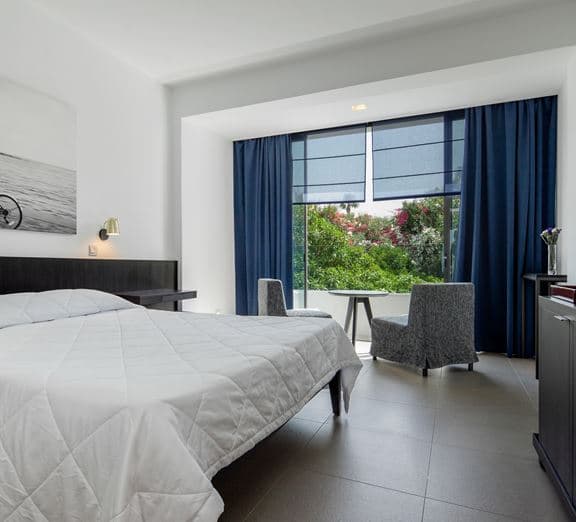 Twin Standard Room Camerele
