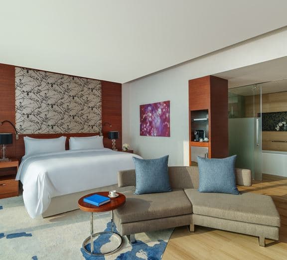 FAIRMONT ROOM Camerele