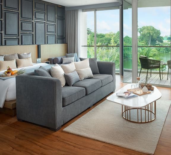 Studio Suite Camerele