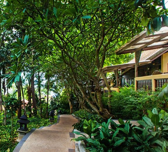Superior Bungalow Camerele