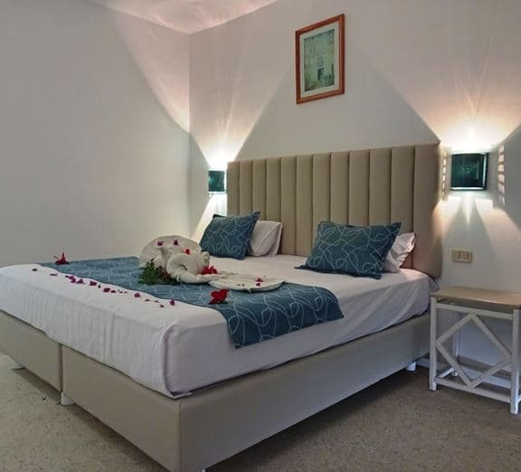 DOUBLE ROOM Camerele