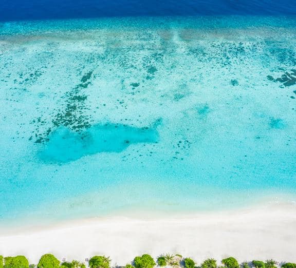 Deluxe Beach Villa with Pool Camerele