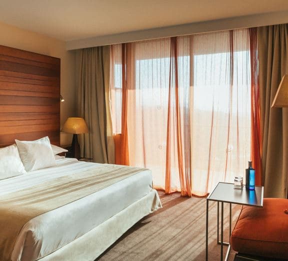 DELUXE ROOM WITH BALCONY OR TERRACE Camerele