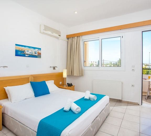 Double Room Pool/Road View with Balcony Camerele