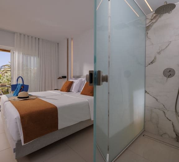 Superior Double Room  Economy Camerele