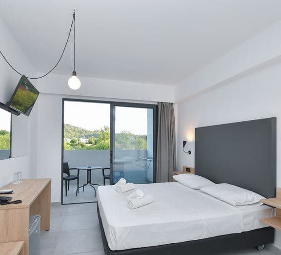 Double room with balcony Camerele