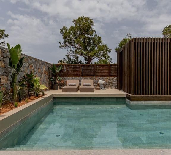 Signature Suite with Privat pool Steam bath Camerele