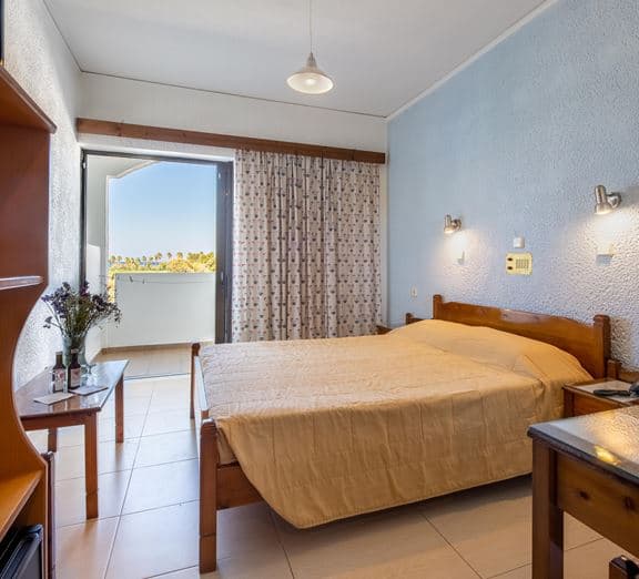 DOUBLE STANDARD ROOM BALCONY Camerele