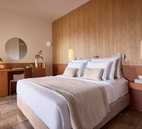 CLASSIC PREMIUM DOUBLE ROOM GARDEN VIEW Camerele