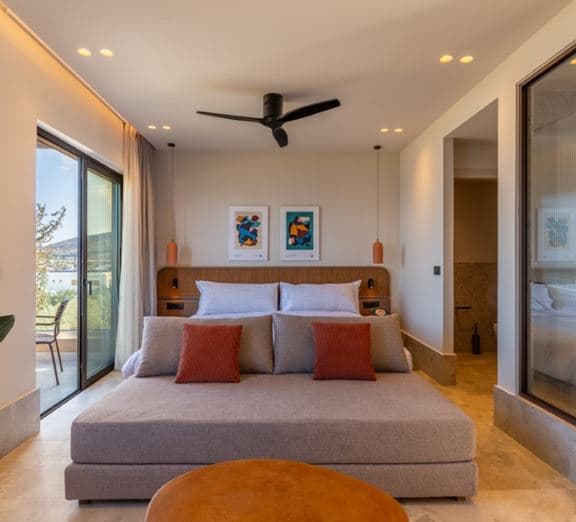 Loft Mountain View Camerele