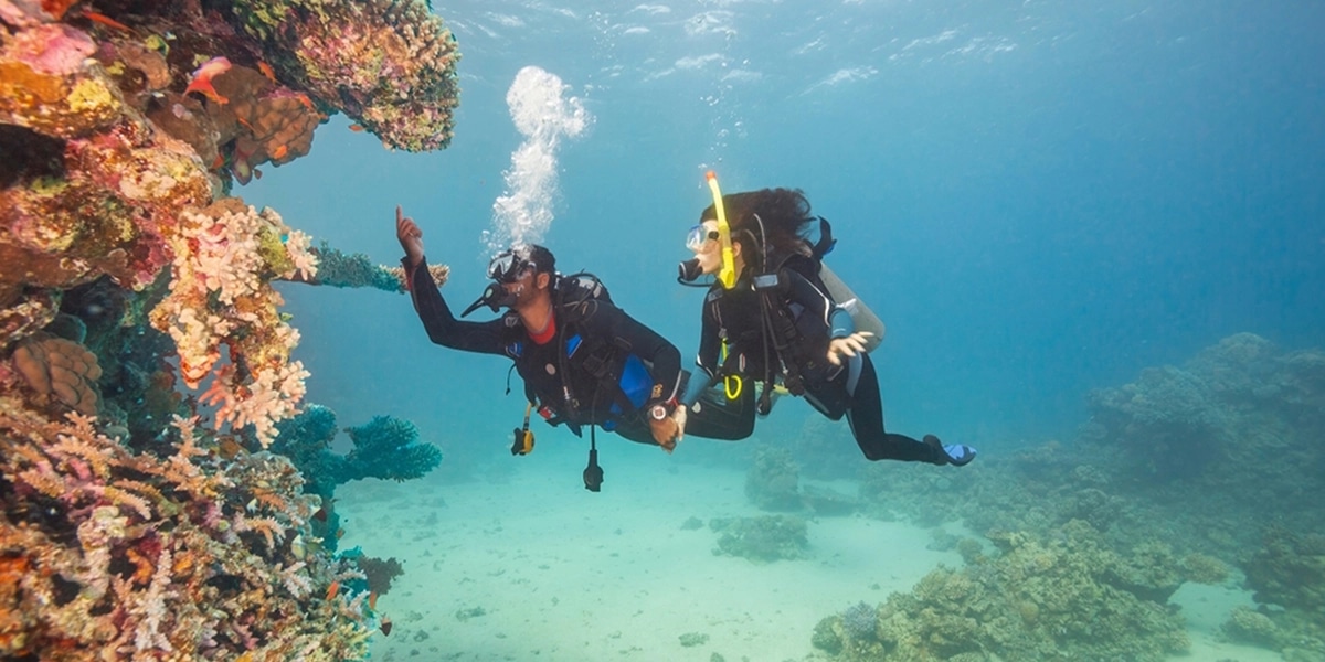 Ce este scuba diving: ghidul complet pentru începători și locuri ideale unde să încerci