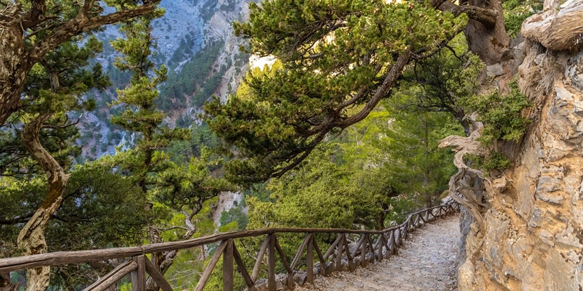 Samaria Gorge: ghidul complet pentru o drumeție de neuitat în Creta