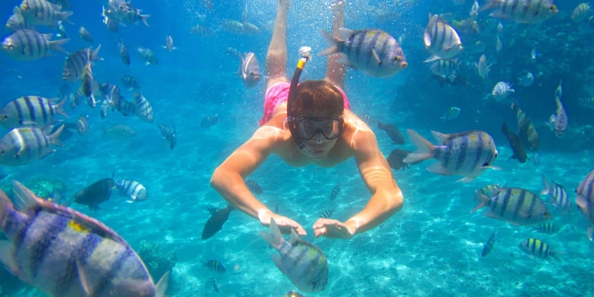 Unde faci snorkeling și scufundări în Egipt: cele mai impresionante locuri de explorat