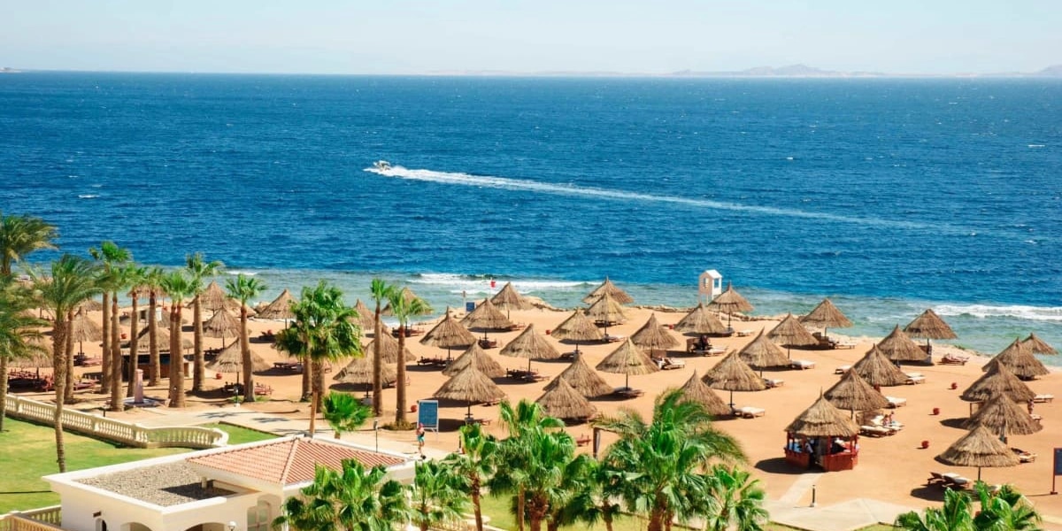 Informații despre Marea Roșie: de ce este considerată una dintre cele mai frumoase mări din lume