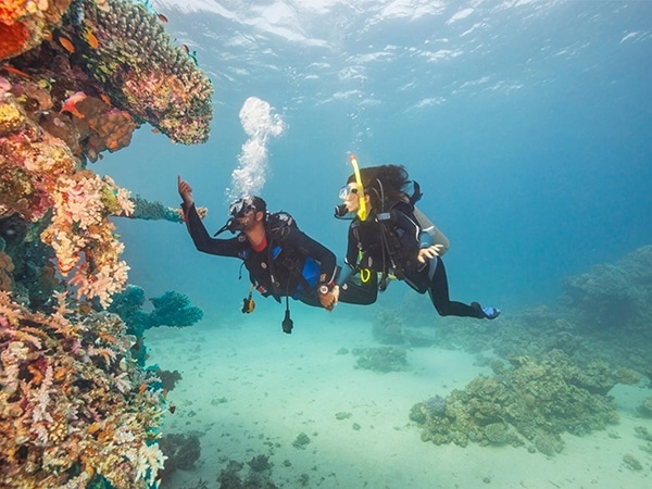 Ce este scuba diving: ghidul complet pentru începători și locuri ideale unde să încerci