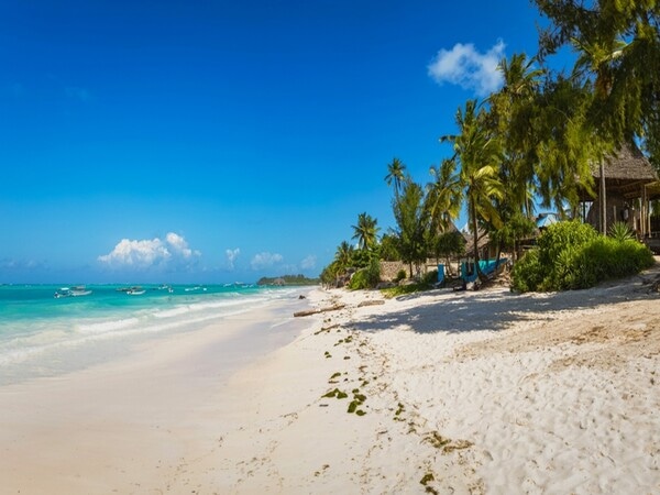 Ce să faci pe insula Unguja: atracții, plaje și experiențe de neuitat