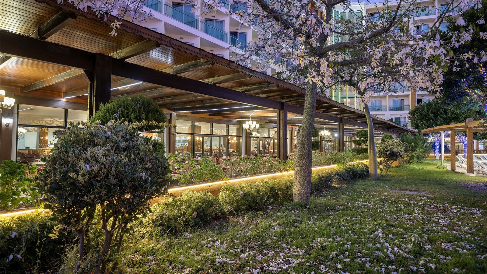 restaurants-main-restaurant