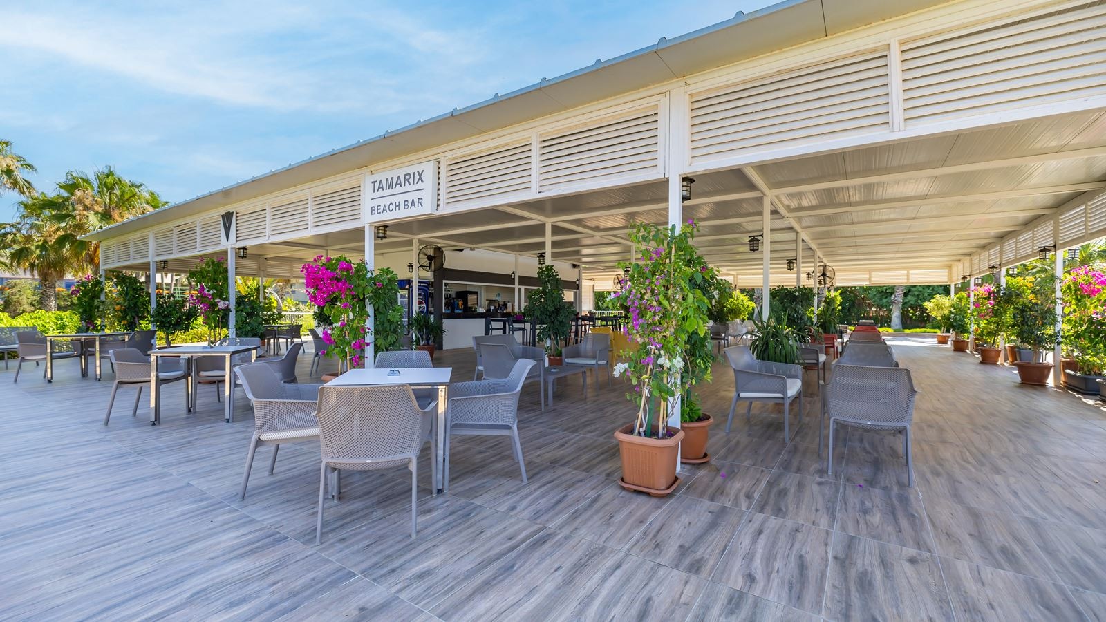 bars-tamarix-beach-bar