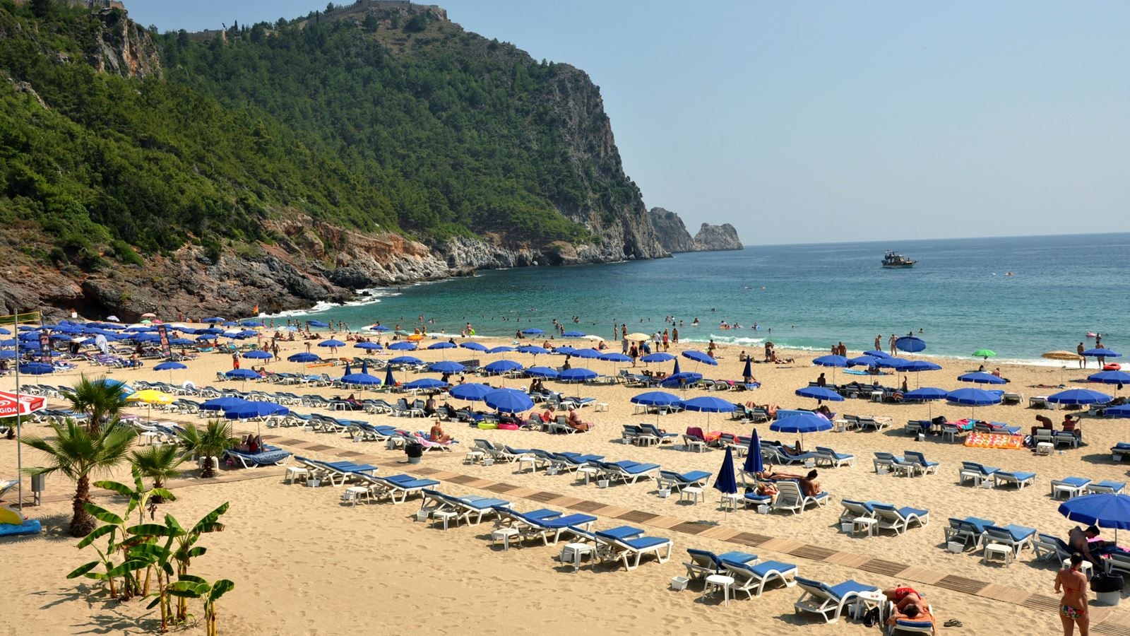 beach-beach