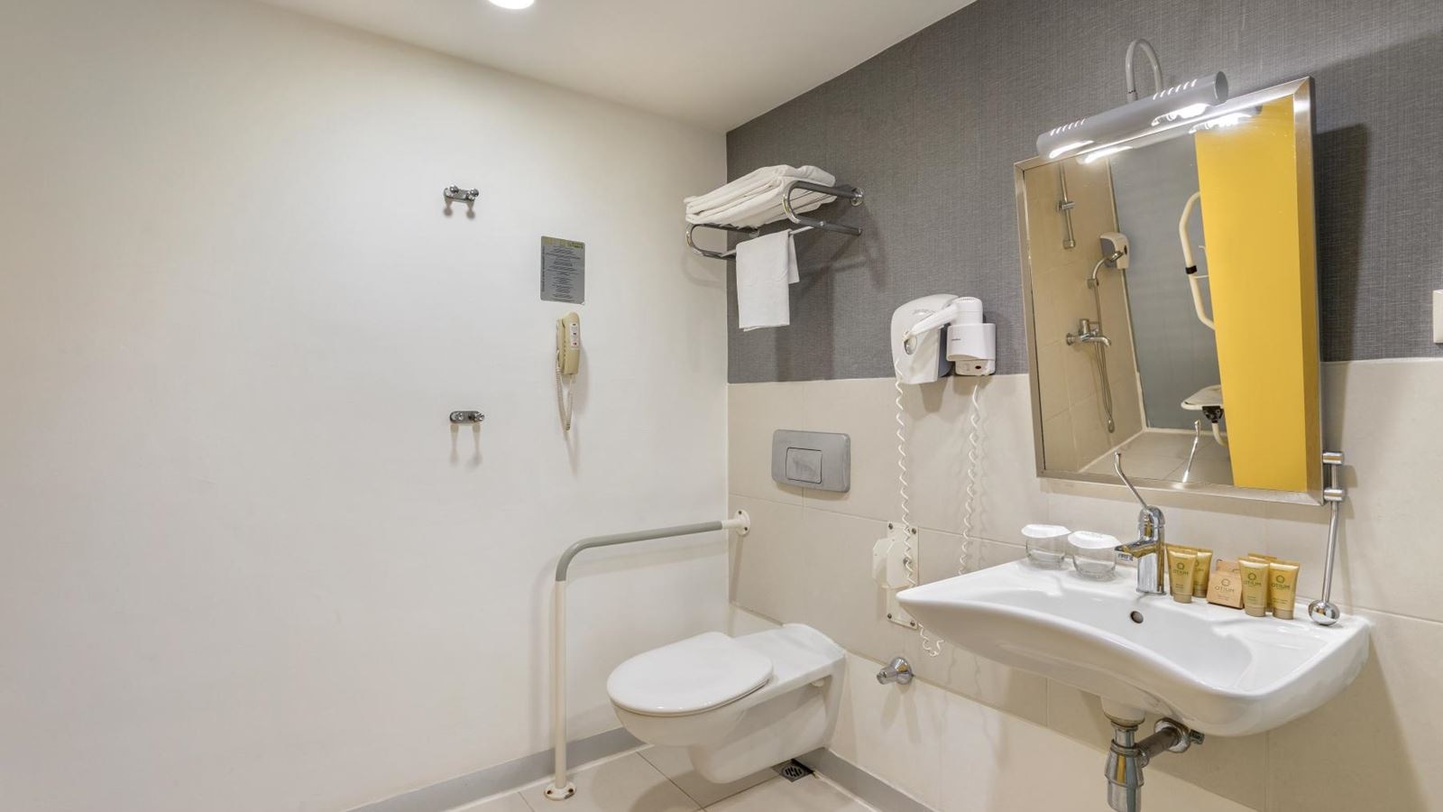 rooms-handicapped-room