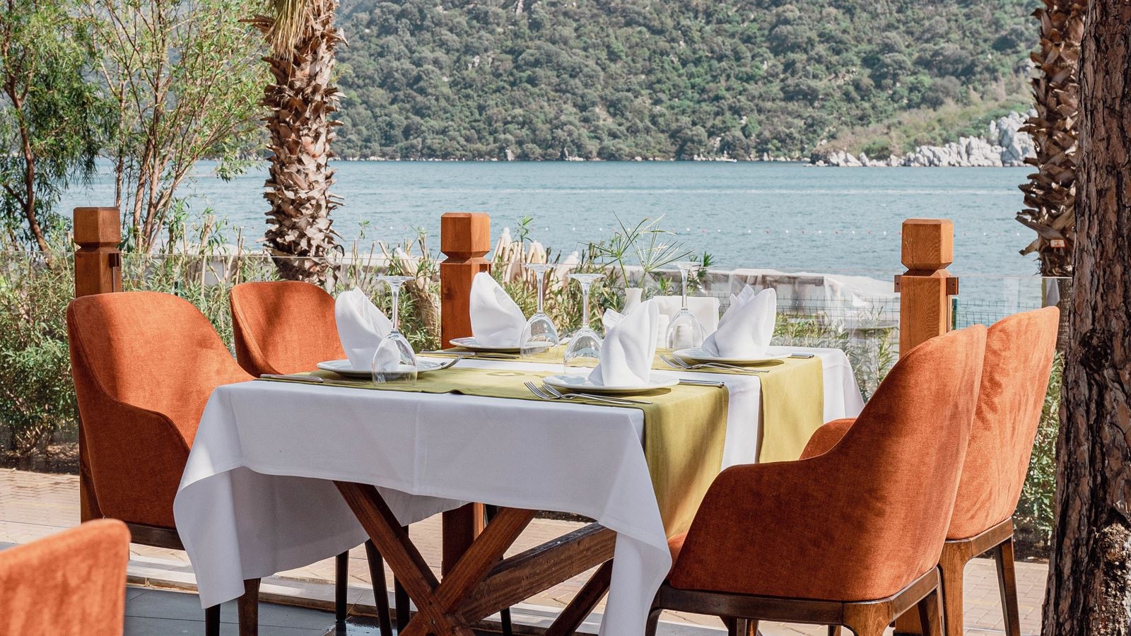 restaurants-olive-tree--italian