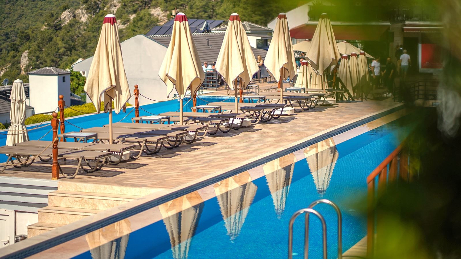 rooms-swim-up-room-pool-view