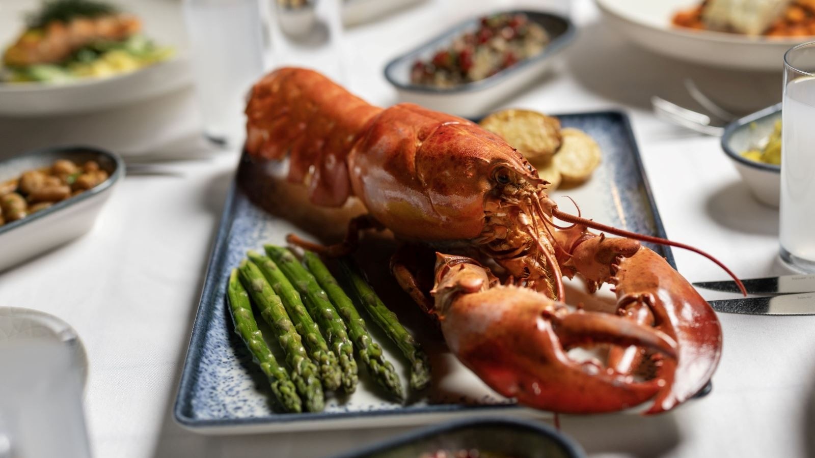 restaurants-begonvil-reataurant