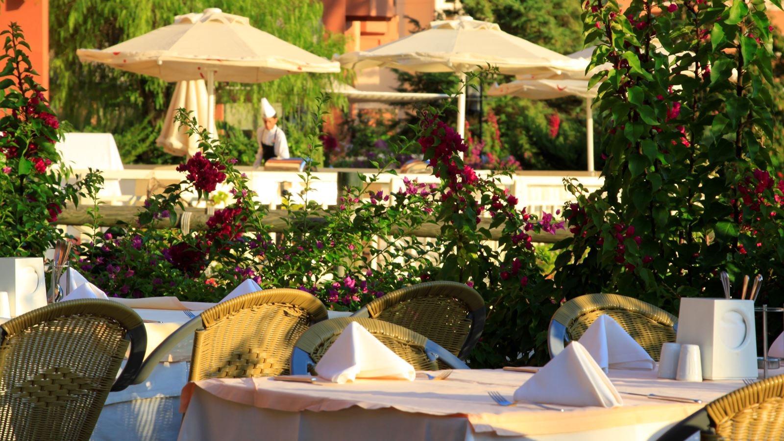 restaurants-main-restaurant