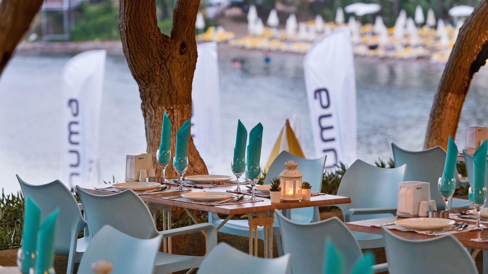 restaurants-ali-baba-fish-a-la-cart