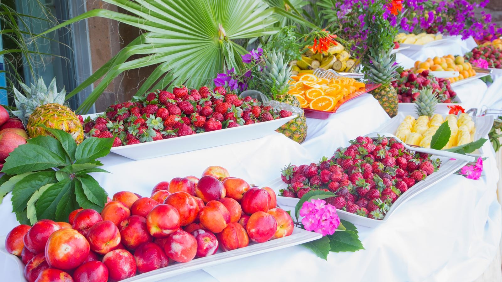 restaurants-snack-bar