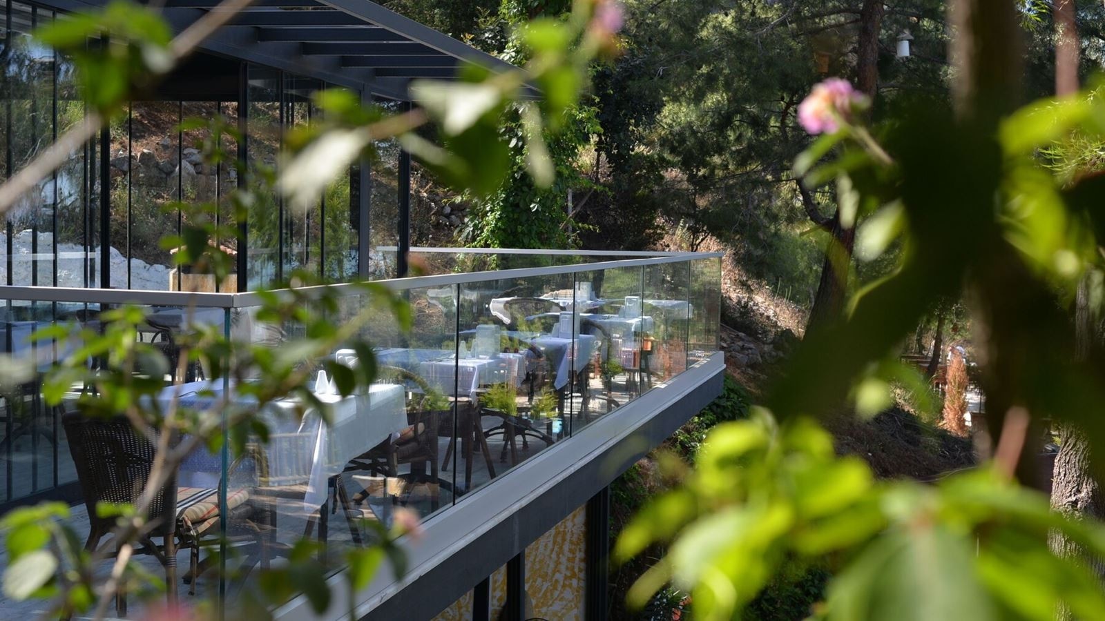 restaurants-restaurants