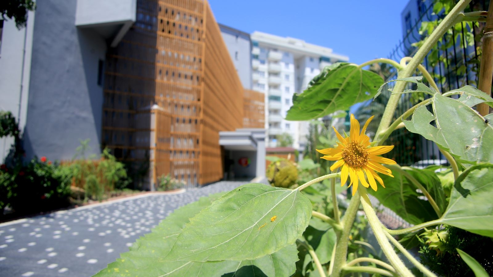 general-main-building