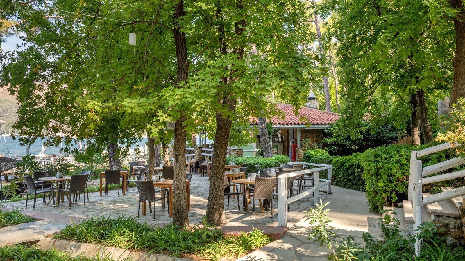 restaurants-sail-bar